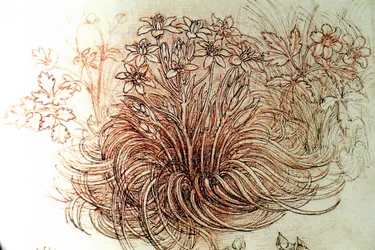 Blumen
